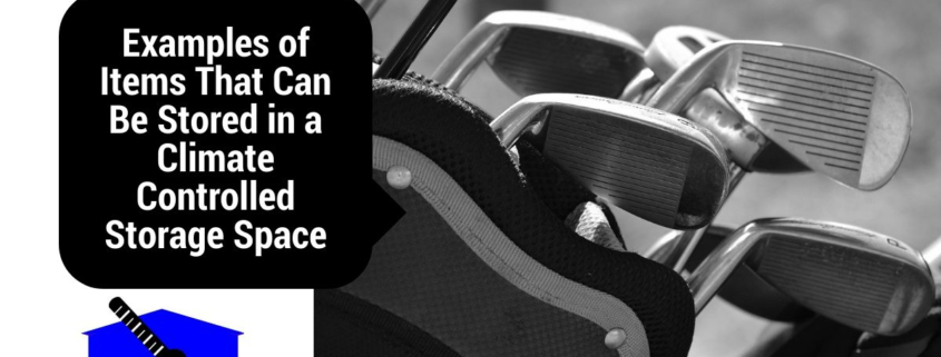 Examples of Items That Can Be Stored in a Climate Controlled Storage Space