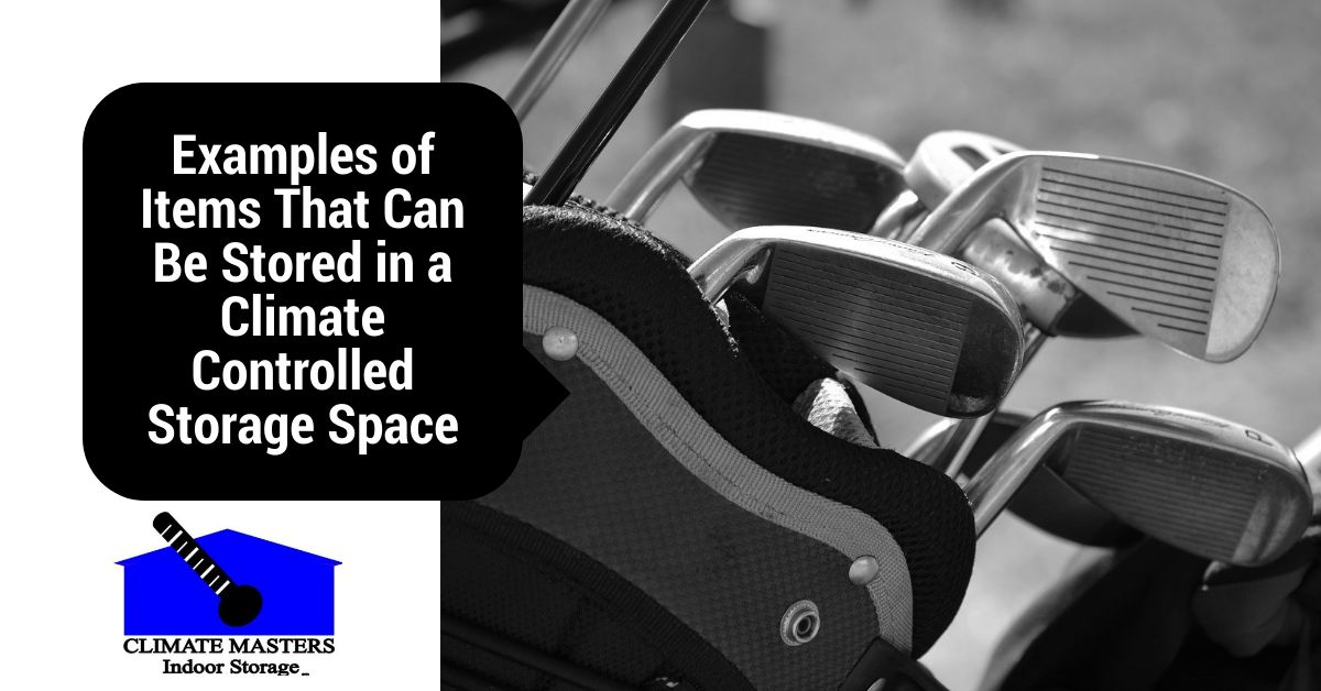 Items That Can Be Stored in a Climate Controlled Storage Space