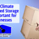 Why Climate Controlled Storage is Important for Businesses