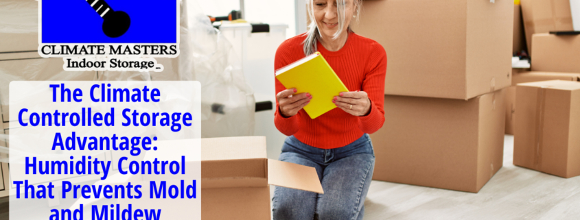 Humidity Control That Prevents Mold and Mildew